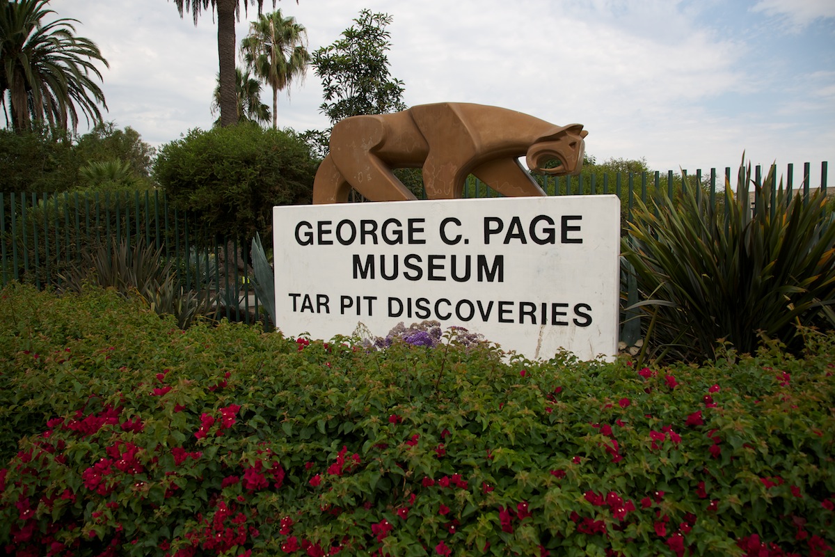 e0122855_13551830.jpg