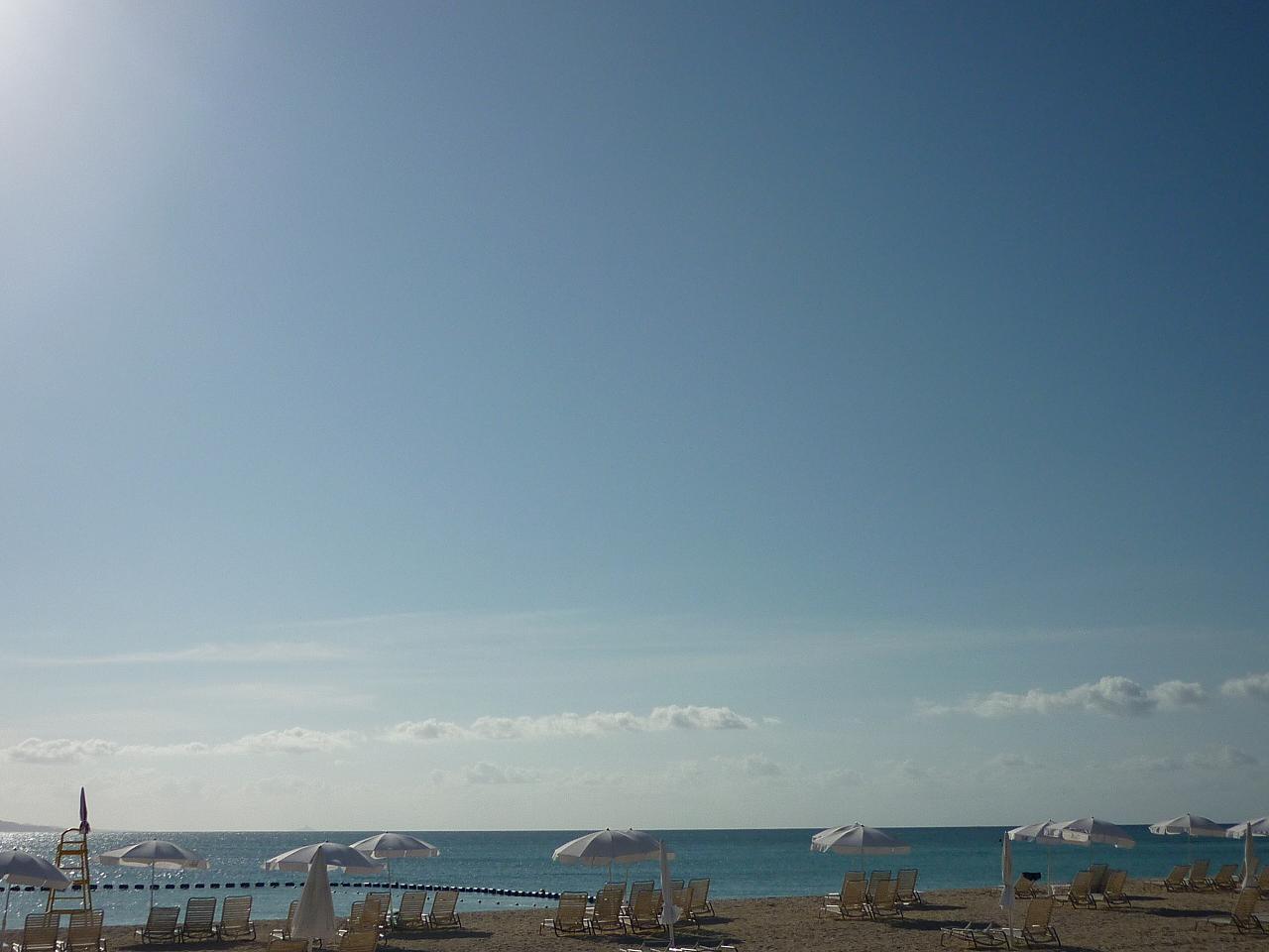e0198455_1429633.jpg