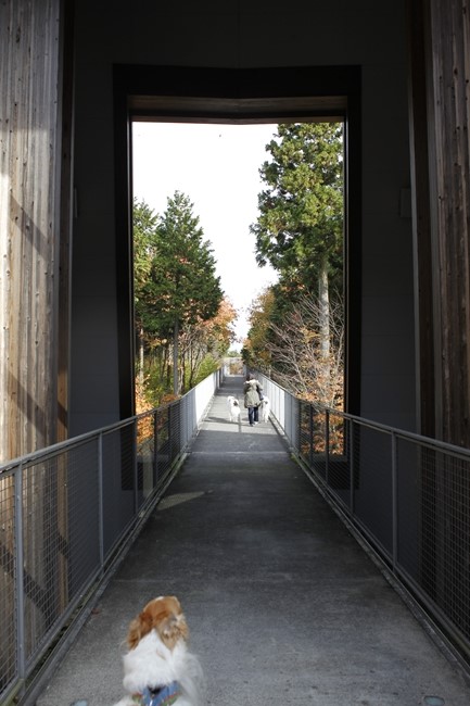 f0268259_21164388.jpg