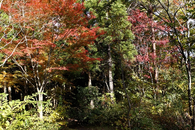 f0268259_2117034.jpg