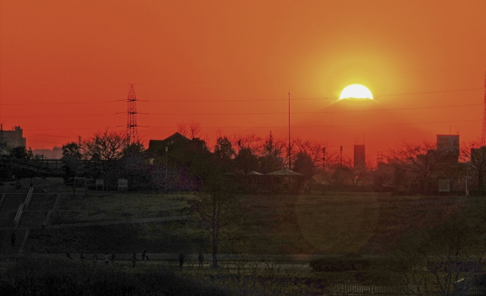 a0150260_0153836.jpg
