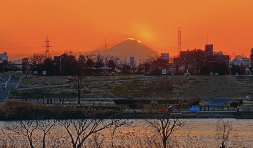 a0150260_0163070.jpg