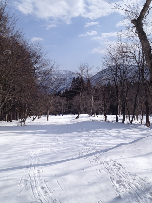 b0078288_223884.jpg