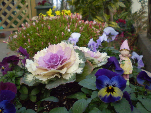 a0135990_22131215.jpg