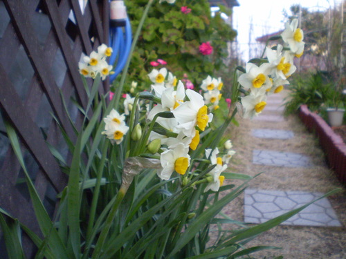 a0135990_2224739.jpg