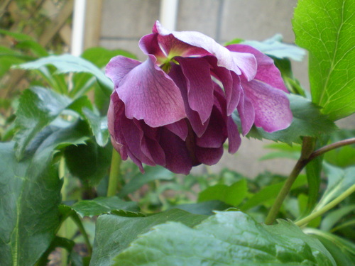 a0135990_2242984.jpg