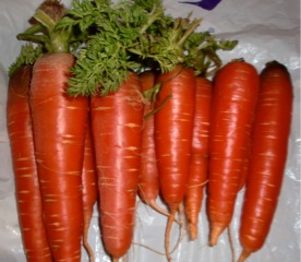 c0151898_17413759.jpg