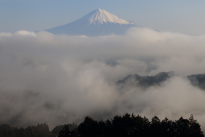 a0188405_12284236.jpg
