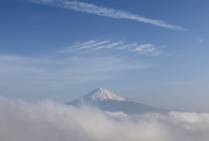 a0188405_12311076.jpg