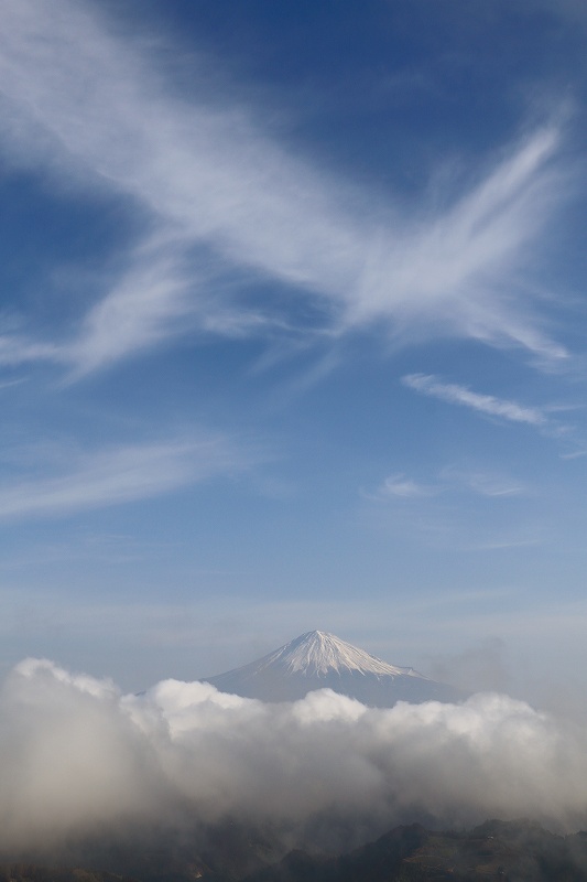 a0188405_12324623.jpg
