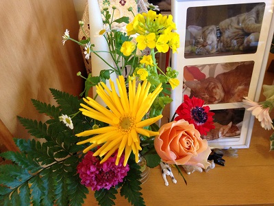 e0178307_1041520.jpg