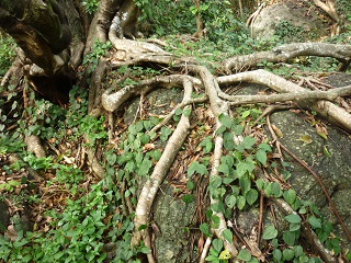 d0178017_15261710.jpg