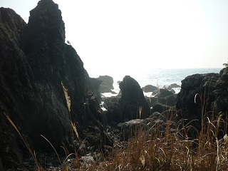 d0178017_15284503.jpg