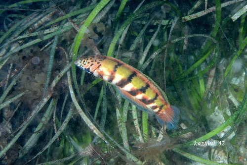 b0164920_032467.jpg