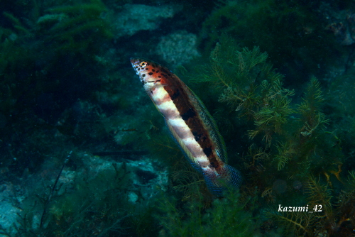 b0164920_0335346.jpg