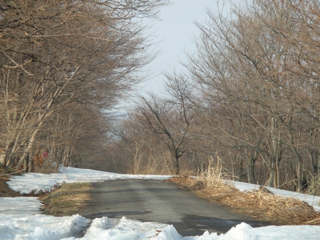 a0304423_23354914.jpg