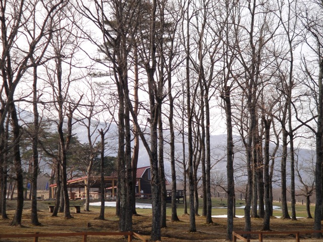 a0304423_23360140.jpg