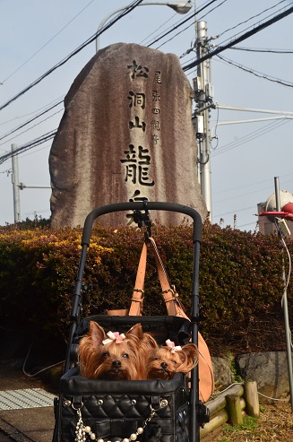 f0124830_22335040.jpg