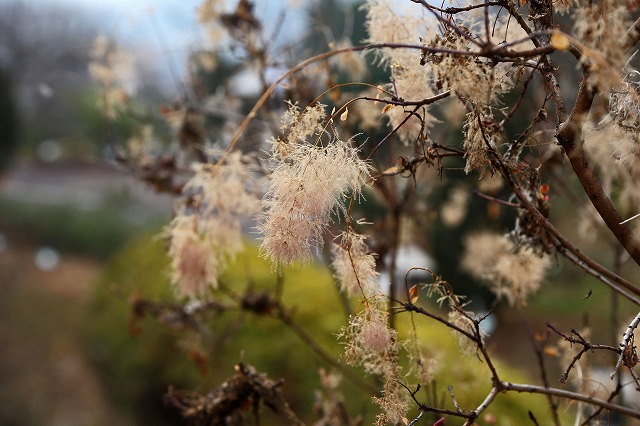 a0242438_19271079.jpg