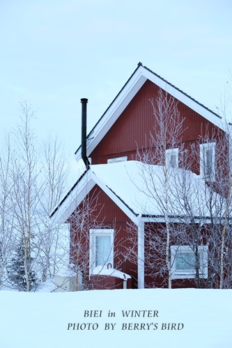 e0173743_22394715.jpg