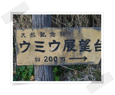 d0013149_22351259.jpg