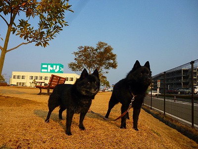 e0002466_3572665.jpg