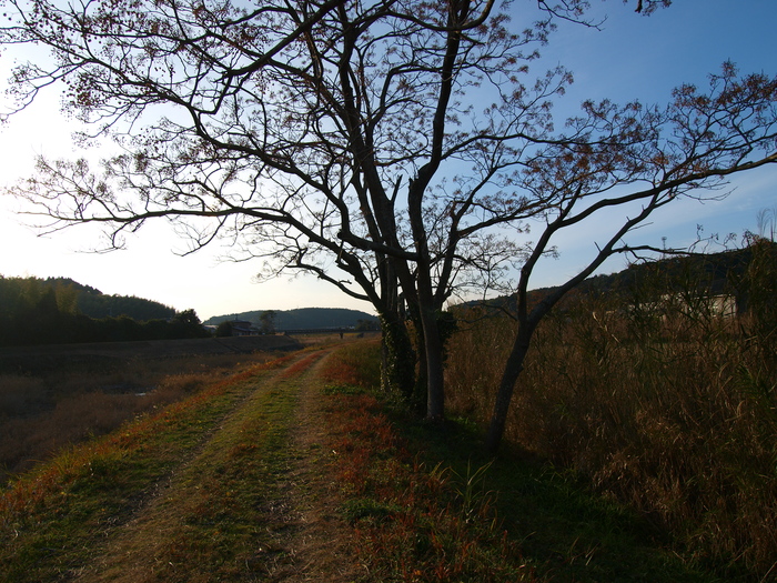 a0260570_1325925.jpg