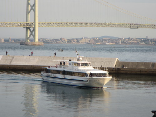 a0251786_844203.jpg