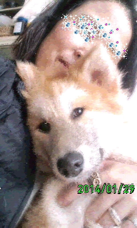 c0311400_063610.jpg