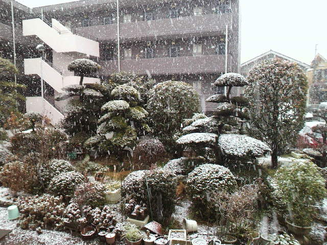f0127408_21211641.jpg