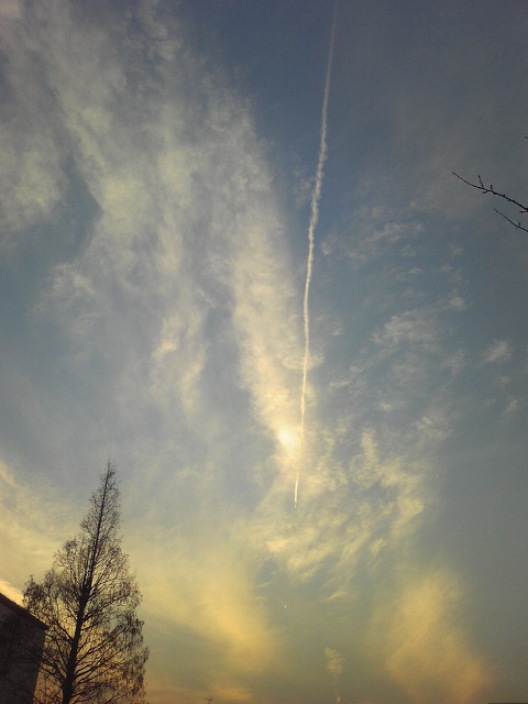 b0309813_0185815.jpg