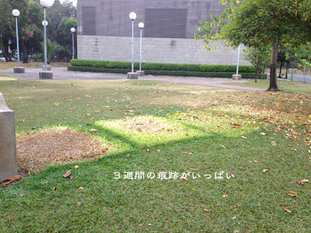 d0042827_19104891.jpg