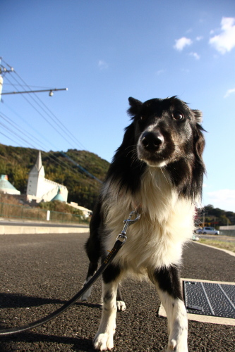 d0158028_18305413.jpg