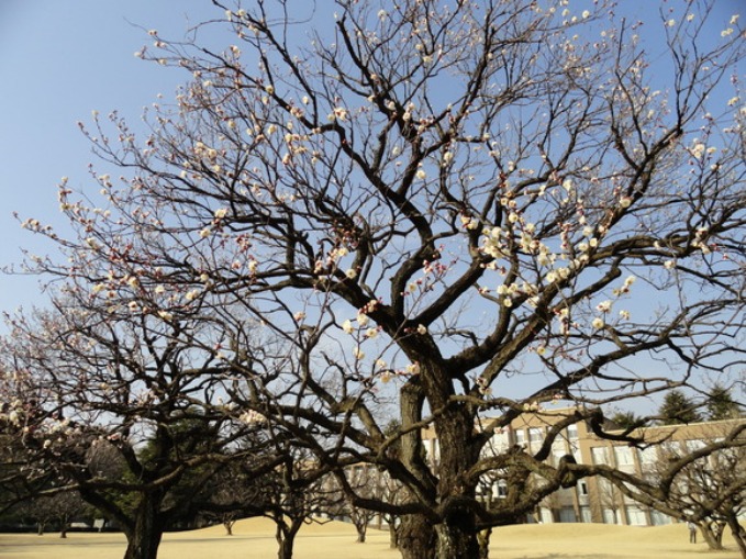 f0238932_16493285.jpg