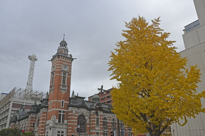 b0042837_21421519.jpg