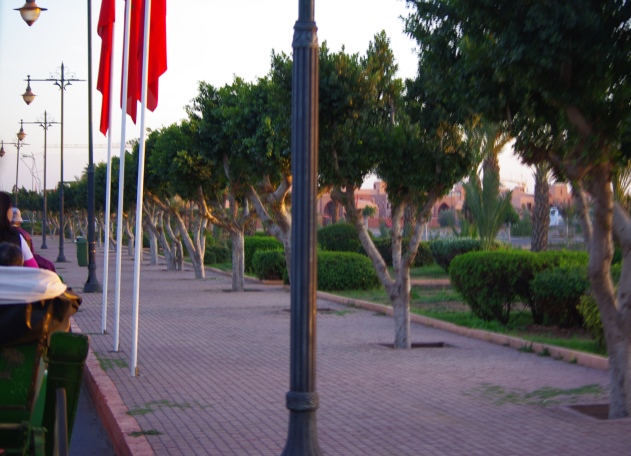 c0051938_17573543.jpg