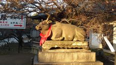 c0192740_2119975.jpg