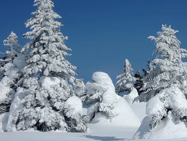b0122448_20272890.jpg