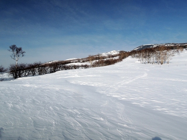 b0122448_20291799.jpg