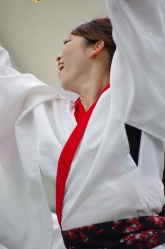 a0009554_235411.jpg