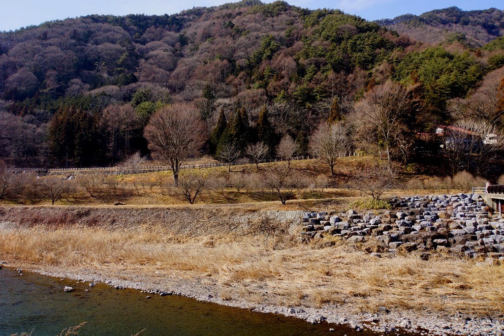 e0223456_14371597.jpg