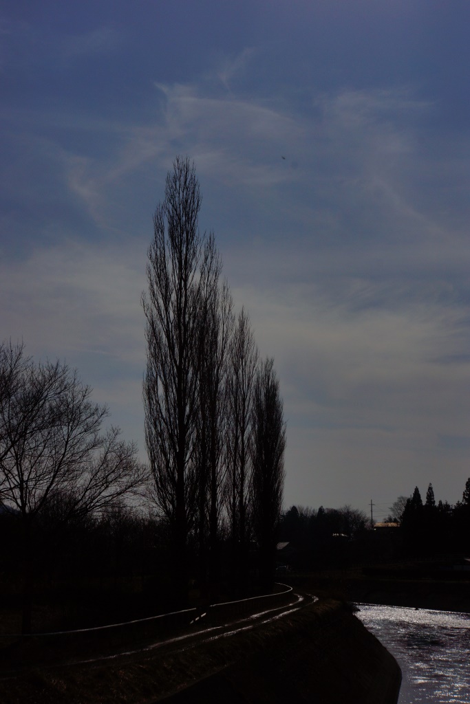 e0223456_1440589.jpg