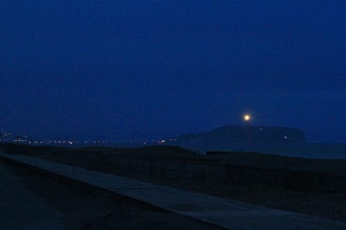 a0157069_815761.jpg