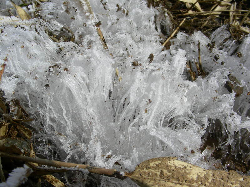b0305770_14455454.jpg