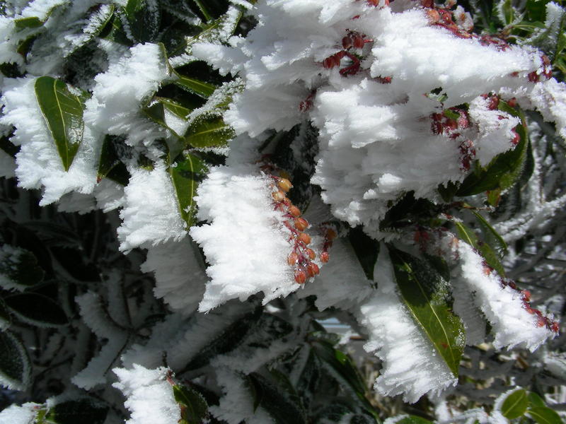 b0305770_14461776.jpg