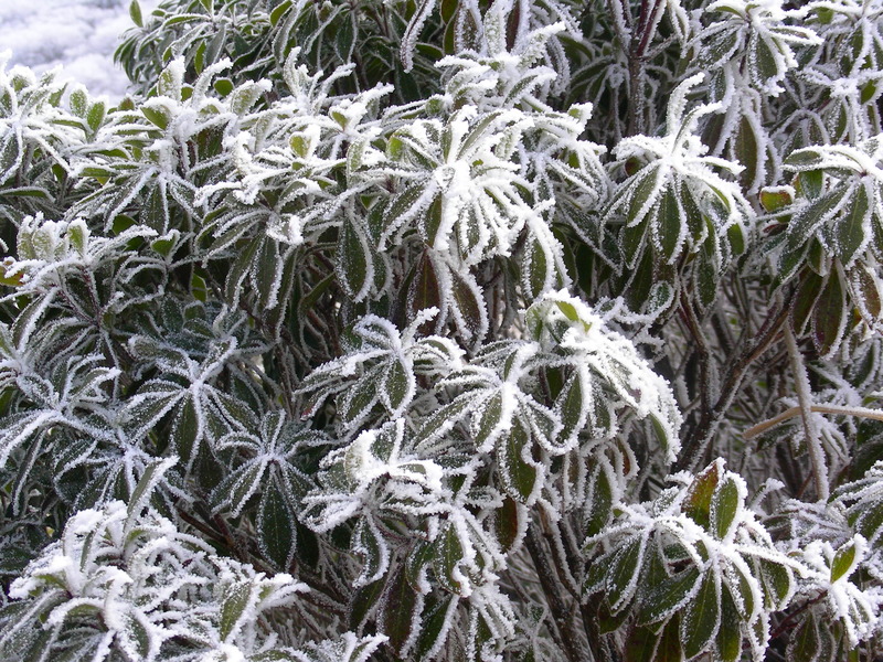 b0305770_14463247.jpg