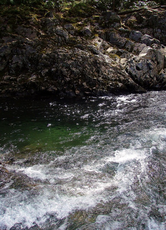 a0169776_20483169.jpg