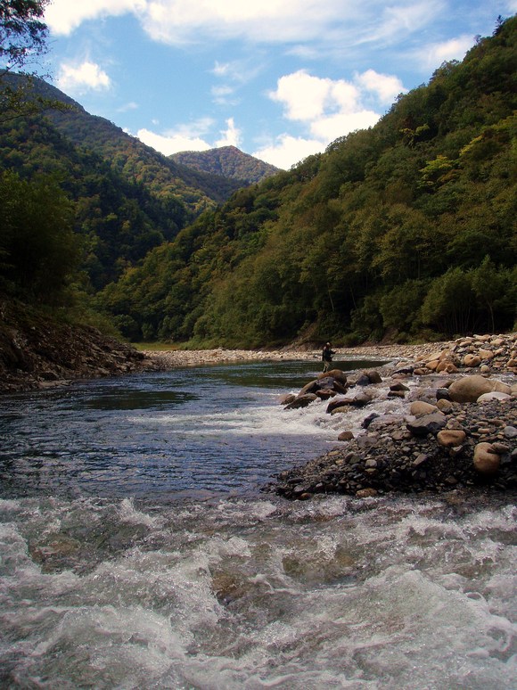 a0169776_21275063.jpg