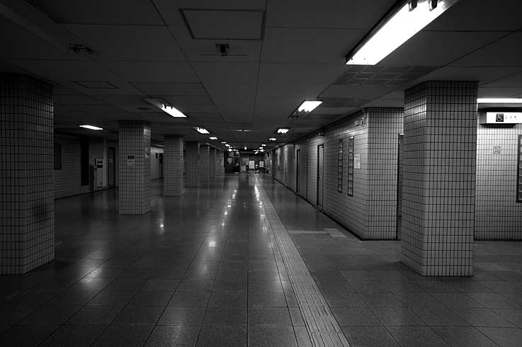 b0057679_905792.jpg