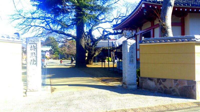 c0202101_13122422.jpg